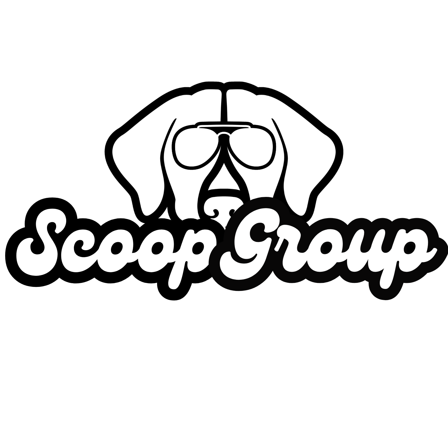 SCOOP GROUP